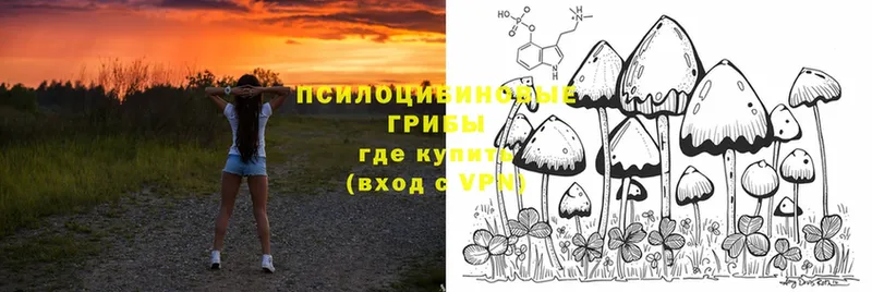 Галлюциногенные грибы Magic Shrooms  Ноябрьск 